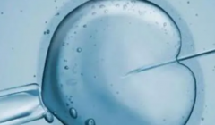 柬埔寨VS泰国，试管费用差异全解析