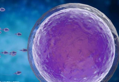 美国前10名的医院有那些?