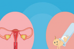 上海试管领域的卓越医生探寻