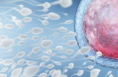 美国顶级医院试管医生预约方法大揭秘