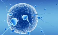 美国试管技术怎么样？一文了解这些试管医院