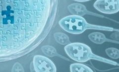 一文了解提高子宫肌瘤做试管成功率的这些方法