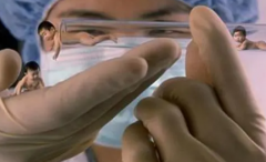 揭秘新加坡试管步骤与价格，让你一目了然