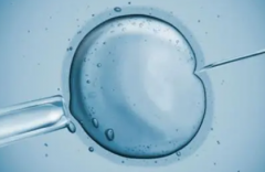 赴美做三代试管？2023年费用全解析，助你无忧备孕