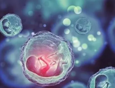 泰国试管技术，优势、条件与流程全解析