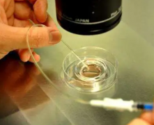 揭秘！美国试管性别选择服务收费