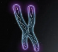 2024年三代试管全程费用揭秘：三大类别全解析