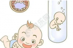 解读泰国试管费用，赴泰生子要注意这些风险