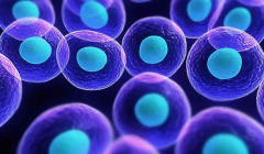 试管手术费用标准深度剖析：费用构成全面解析与价格差异揭秘