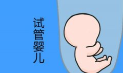 上海第一妇婴试管医生推荐，成功率及费用介绍