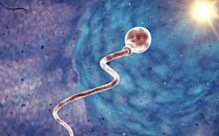 2024年荆州三代试管最新费用指南，不容错过！