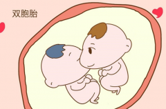 试管双胞胎有一定风险，移植前需谨慎考虑