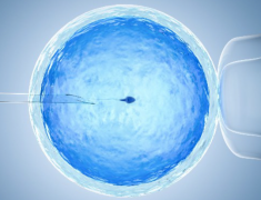 乌鲁木齐试管价格全解析，因人而异，费用明细一览