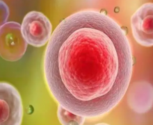 试管武汉行，单周期费用概览，约20万起