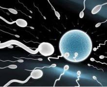 南宁试管不昂贵，三招攻略省钱高效圆梦来！