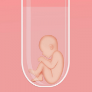 肥胖对试管成功率的影响：深入探讨负面效应及个性化治疗方案