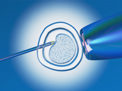 东莞三代试管费用概览：全面解析，预算约需二十万元