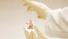 试管怀孕12周吃水果的争议,具有这些危害