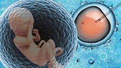 试管移植胚胎的常见方式解析，专业医生的指导下顺利完成