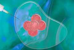 武汉三代试管收费项目全解析，助你明明白白消费