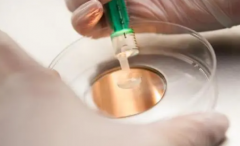 借卵试管不再高不可攀，格鲁吉亚亲民价格来袭！