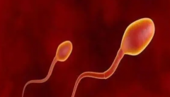 徐州试管费用大揭秘，20-30万你能接受吗？