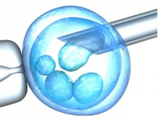 试管移植成功关键：掌握这些指标，精准判断好孕迹象！