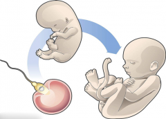 优选试管医院指南：综合评估标准，助您甄选最佳孕育之地