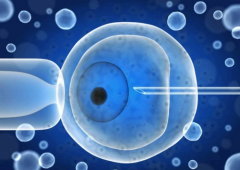 试管费用全解析：探索价格区间与详细费用构成