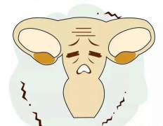 子宫损伤对试管成功率有潜在影响吗？关键因素是哪些？