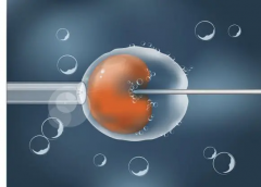 试管移植后无显著反应怎么应对？原因探析与解决方案全览