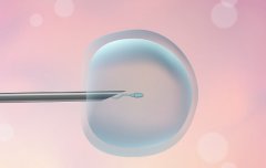 新鲜精子与试管的成功率是否相关？与冷冻精子有什么不同？