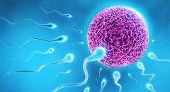 三代试管选性别技术介绍，费用一般在1.5-2.5万元之间