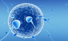 什么是试管技术？精子正常的男性使用二代试管技术介绍