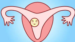 试管全套服务收费明细及总费用概览