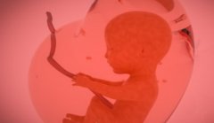 <b>泰国试管怎么样？生'男'孩合法吗？</b>