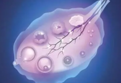 卵巢萎缩不是生育终点！试管技术带来新希望与挑战