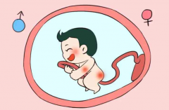 二胎想生'男'孩，正确备孕方法需掌握！