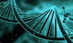 试管微刺激方案的具体流程及其适用人群