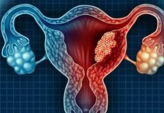 2023湖州试管医院信赖指南：全面名单汇总，助您明智选择！