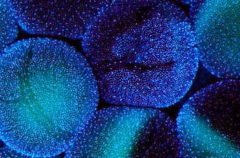 全国顶级试管医院盘点：推荐与技术深度分析