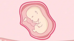 成都单身试管医院盘点，详细介绍助你做出明智选择