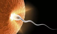 潮州试管医院有哪些？这三家力荐！