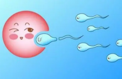 泰国试管自助之旅全攻略：精选三家顶尖医院，助您好孕成真！