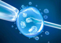 三代试管技术能否保障宝宝健康？深度解析与科学研究告诉你答案！