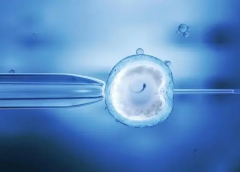 陕西试管价格大揭秘！私立医院费用略高于公立，选对医院更关键