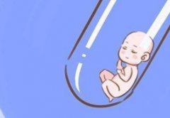 二代试管胚胎移植的基本费用构成及降低费用的方法