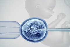 一代试管能养囊吗？北医三院一代试管成功养出囊胚的原因分析
