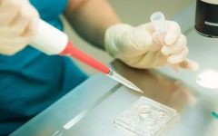 揭秘马来西亚试管之旅：不同周期，不同价格