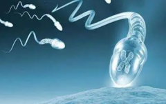 <b>试管费用报销：哪些项目可享政策红利？</b>